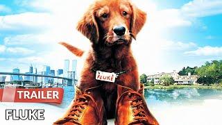 Fluke (1995) Trailer | Matthew Modine | Nancy Travis