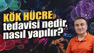 Kök hücre tedavisi nedir, nasıl uygulanır? Dr. Portakal Sağlıklı Yaşam Merkezi