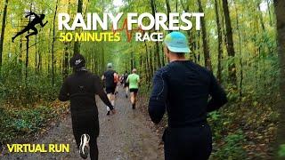 2K Virtual Run POV | Rainy Forest Race | Autumn Run Germany | Running Video for Treadmill