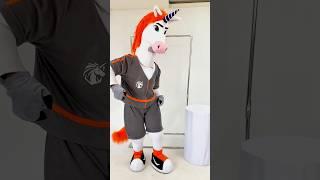 Sporty Unicorn Horse 