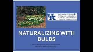 Naturalizing With Bulbs Video