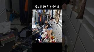 결혼 1년만에 청소하는 부부 #신혼부부 #청소브이로그 #유머