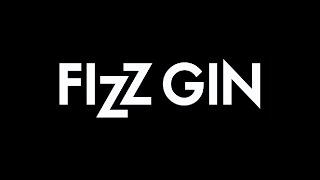 FIZZ GIN  Partydemo 2024/2025