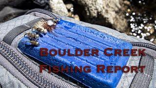 Boulder Creek Video Stream Report