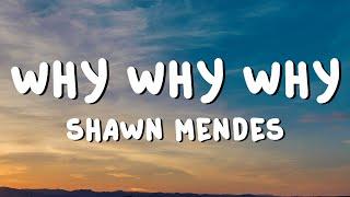 Shawn Mendes - Why Why Why (Lyrics)