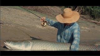 Arapaima GIGAS Official Trailer