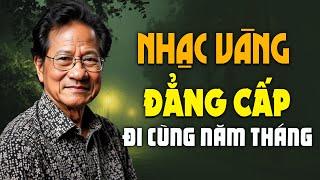 Lk Ngày Xưa Anh Nói - Album Những Ca Khúc Nhạc Vàng Xưa Bất Hủ Đi Vào Lòng Người Danh Ca Nổi Tiếng