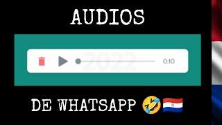 AUDIOS GRACIOSOS DE WHATSAPP  (PARAGUAY 2022 )