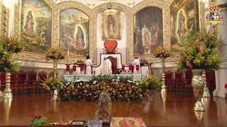 Santa Misa desde la Parroquia Basílica de Santa María de Guadalupe en Pachuca, Hgo.