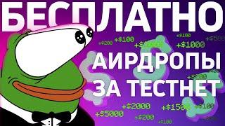 АИРДРОПЫ БЕЗ ВЛОЖЕНИЙ - АКТУАЛЬНЫЕ L1 ТЕСТНЕТЫ ДЛЯ НОВИЧКОВ