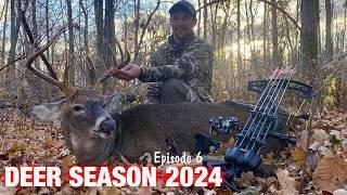 AWESOME RUT HUNT in OHIO!! - BIG SPLIT-BROW BUCK DOWN!! - Ohio Archery Deer Hunt 2024