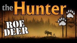 The Hunter: Roe Deer - Revenge is Sweet