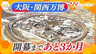 “25年後の自分”に出会える！？大阪・関西万博まであと3か月…続々と完成する「目玉」に潜入取材！【ウェークアップ】