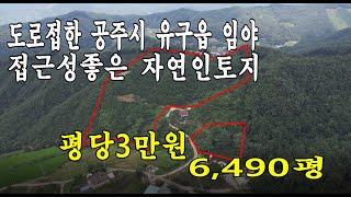 공주시 유구읍 임야 평당3만원 6,490평입니다.