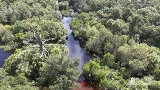 Venice Myakka River Park: August 9, 2024