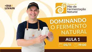 DOMINANDO O FERMENTO NATURAL - Padoca do Alex