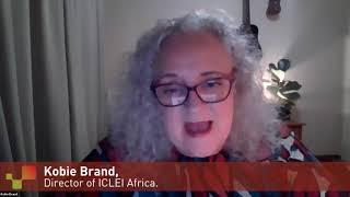 Kobie Brand, Director of ICLEI Africa #BeyondTheOutbreak