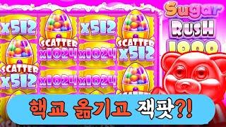 슬롯머신핵교 옮기고 잭팟?!Sugar Rush 1000(PRAGMATIC PLAY)슈가러쉬 1000