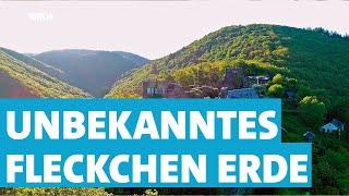 Zwischen Mosel und Hunsrück - Eine Reise durch den Haardtwald