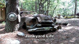 Old Car City USA Junkyard Life Tour: Part 1