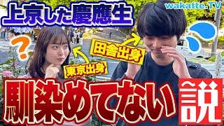 【キツすぎ】貧乏になる！？借金まで！？上京した慶應生、東京のキャンパスライフに馴染めてない説！【wakatte TV】#879