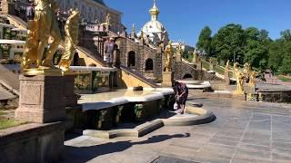 Peterhof Palace, St Petersburg (25-5-2018)