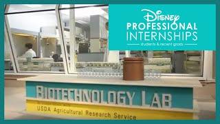 Professional Internships: Biotechnology