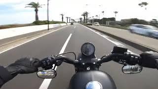 iron883 straightpipe crazy ride