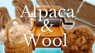 Blending Alpaca and Wool - Card, Spin, Knit +=