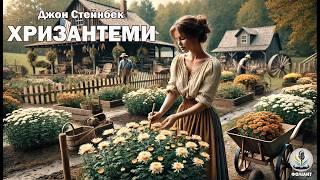 ДЖОН ЕРНСТ СТЕЙНБЕК - ХРИЗАНТЕМИ #аудіокнигиукраїнською #слухатикнигионлайн #драма #книги