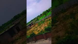 Beautyofnature#videohub