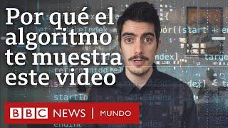 Qué son los algoritmos y cómo aprenden de nosotros | BBC Mundo