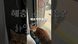 아가리파이터