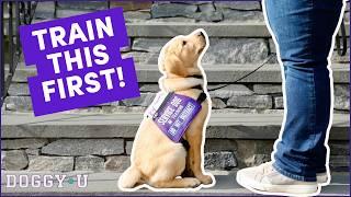 Service Dog Training: What You Should Train First! (unexpected!)