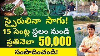 Spirulina Farming In Telugu - How to Start Spirulina Farming Business | స్పైరులినా ఫార్మింగ్