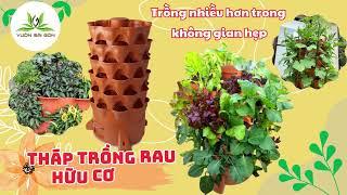 Theo dõi 2 tuần trồng rau trên tháp rau hữu cơ Eco cùng Vườn Sài Gòn