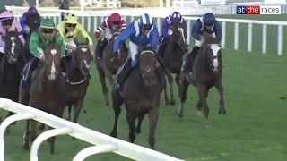 HUGE upset! ANMAAT wins the QIPCO Champion Stakes at Ascot!