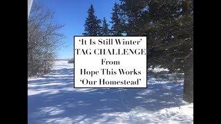 'IT IS STILL WINTER' TAG CHALLENGE | HOPE THIS WORKS 'OUR HOMESTEAD'