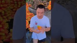 Golden mango so fresh - Farm fresh ninia fruit cutting #shorts #shortvideo