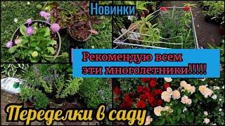 Переделки в саду. Эффектные компаньоны к розам. Рекомендую всем!  Новинки. Мой сад прогулка