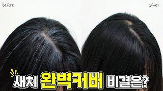 토소웅 헤어틴트 커버 마스카라 3초 새치커버