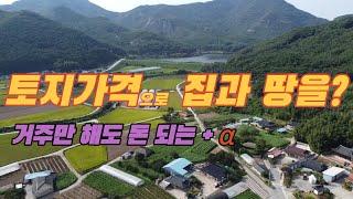 (117)토지 가격으로 집과 땅을 드립니다(9천만원)