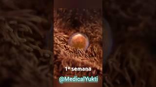 in Womb life growth journey ‍️ #medicalyukti #newborn  #emotionalmedico #gynecology