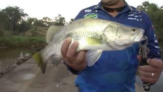 Fishing for Barra with Stick Baits - Reel Action TV