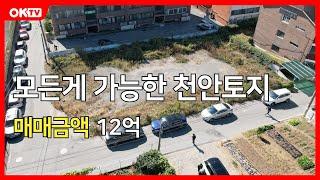 No.15239 천안토지매매 신부동토지매매 모든게 가능한 토지