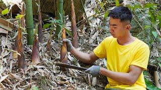 120 Days : Harvesting Cassava Roots, Bamboo Shoots, Sugarcane And Lettuce Goes To Market Sell