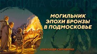 Новые погребения эпохи бронзы в Соколовой Пустыни. Александр Сыроватко. Родина слонов №412
