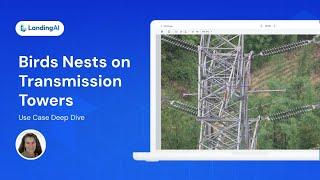 Product Demonstration | Detect Bird Nests on Transmission Towers with LandingLens