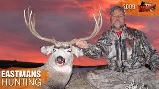 Wide Buck Comes Out of Hiding! Mule Deer Rut | Eastmans' Hunting TV