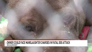 An investigation in Beaumont is underway on the first fatal dog attack in over thirty years